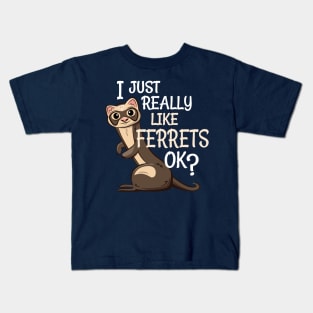 Ferret Lover Gift - I Just Really Like Ferrets OK? Kids T-Shirt
